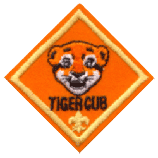 Tigers are special!